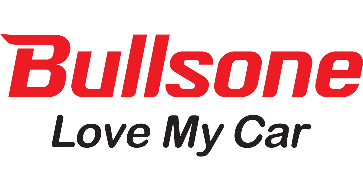 VIDEO :: BULLSONE